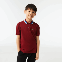 Lacoste polo din bumbac cu guler tricolor petit pique 0H6PD42954 băieți alb bordeaux x62